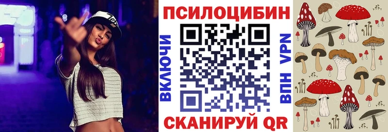 где продают наркотики Бабаево Псилоцибиновые грибы Psilocybe