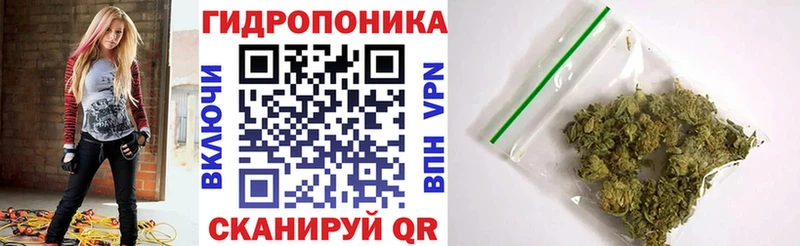 Бошки марихуана гибрид  kraken вход  Бабаево 